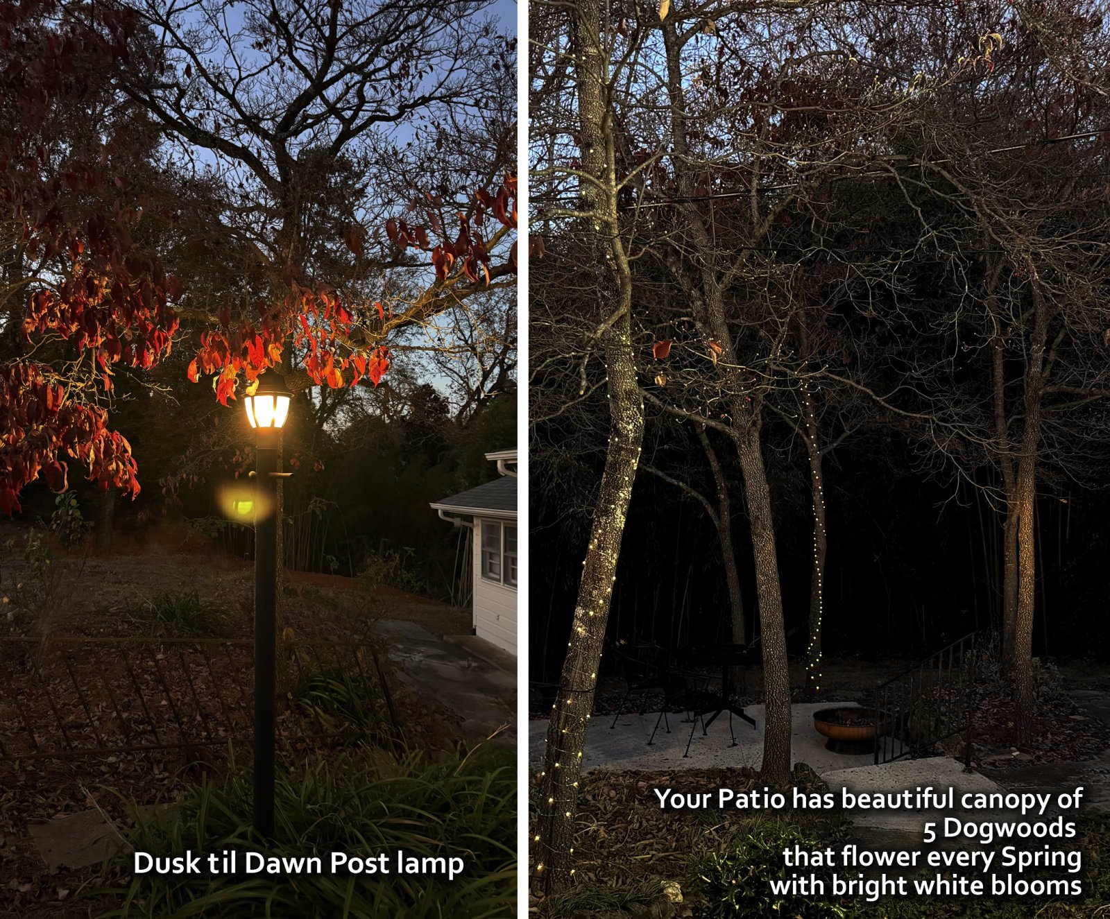 Treetop Mid Century Cottage