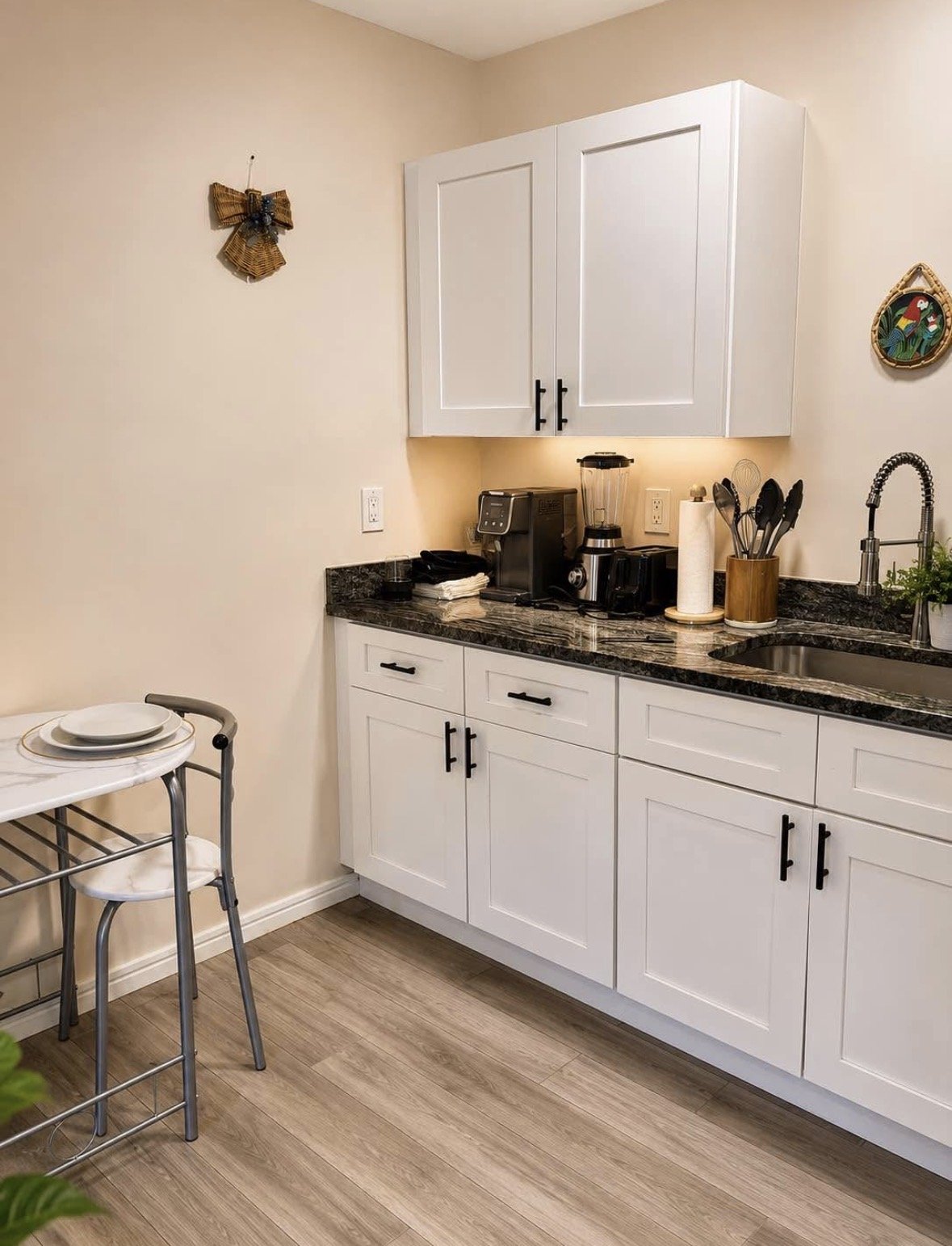 1/1 Fully furnished Home