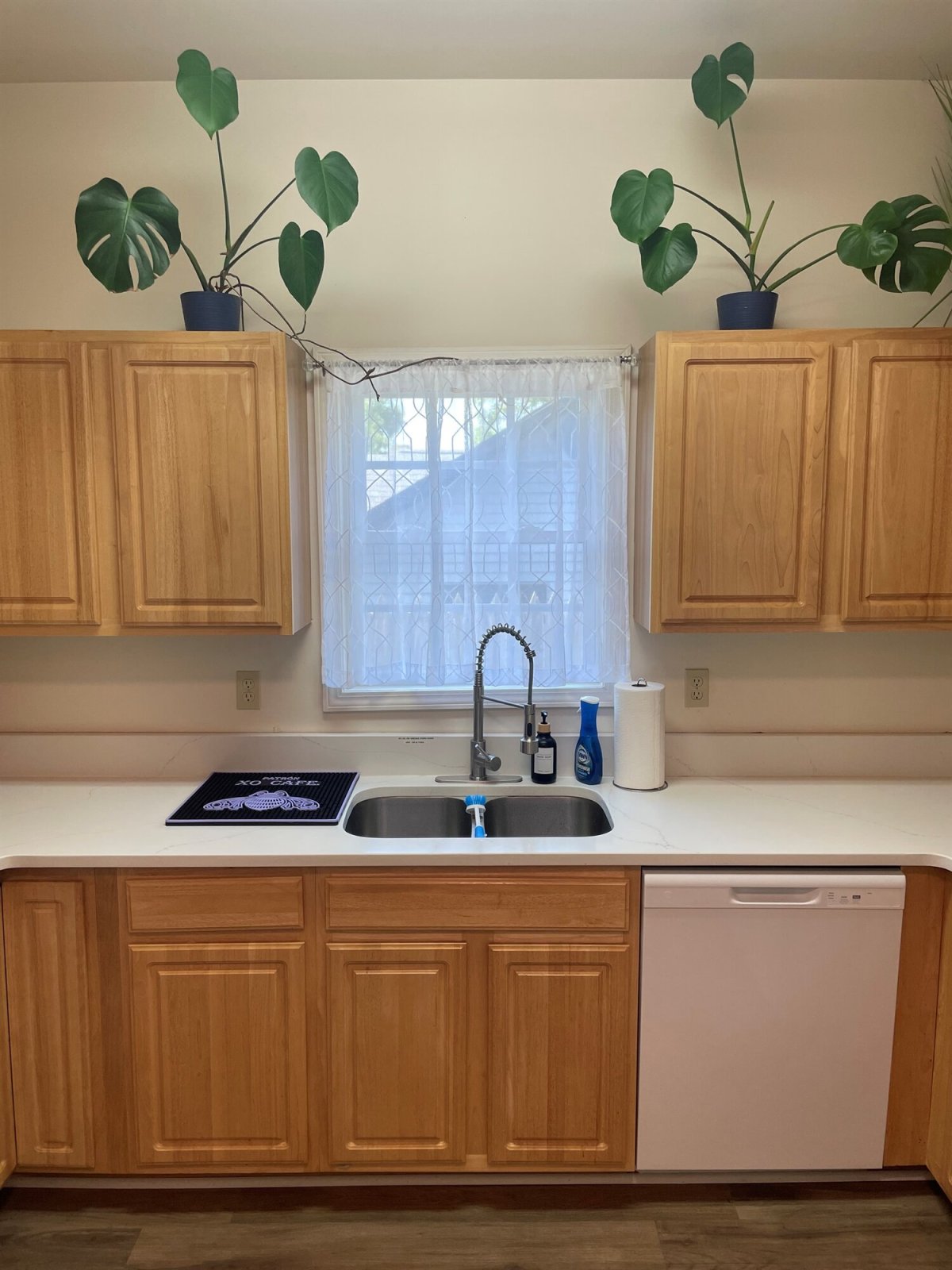 Kitchen with Full sized fridge, stove, dishwasher and everything you need to get started