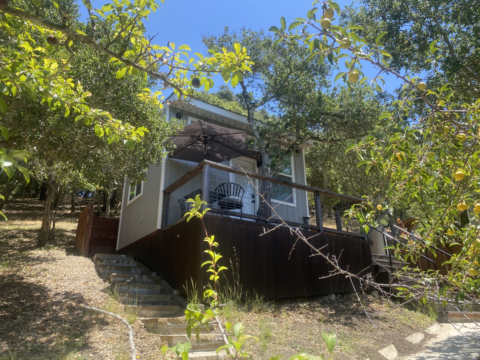 Tree House