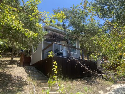 Tree House